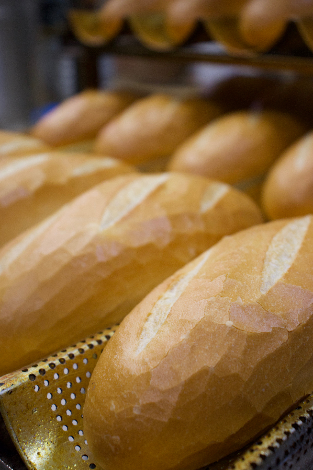 Freshly baked Vietnamese baguettes on a bakery tray